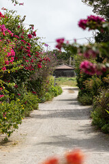 Empty street with white sand framed by lush greenery and colourful blooming flowers outdoor at...