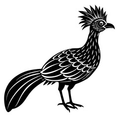 Fototapeta premium Hoatzin Bird silhouette vector black outline, white background
