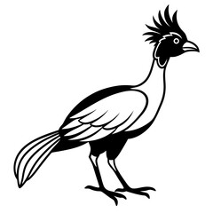Hoatzin Bird silhouette vector black outline, white background