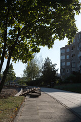photo Explore the Tranquility of Urban Nature: Capturing a Serene Pathway with Beautiful Trees and Residential Area, Perfect for Relaxation and Enjoying Outdoor Activities