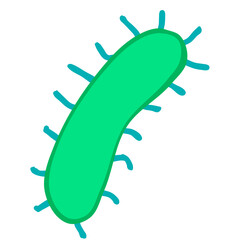 Bacteria
