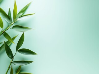 Green bamboo leaves on a soft mint background, creating a calming feel.