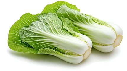 Crisp Chinese cabbage leaves glowing in morning sunlight