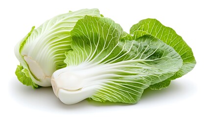 Fresh Chinese Cabbage Leaves