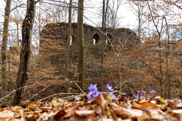 Ruins of the medieval castle 