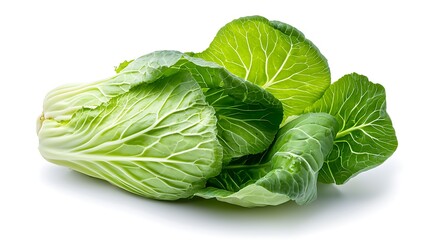 Fototapeta premium Vibrant Chinese cabbage with a crisp fresh appearance