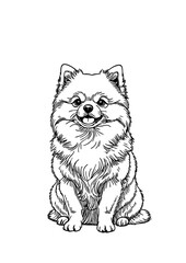Happy Fluffy Dog Illustration – Hand Drawn Black and White Pomeranian Style Puppy Line Art for Tattoo, Logo, Coloring Page, or Pet Design