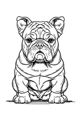 Muscular Bulldog Puppy Illustration – Hand Drawn Black and White Dog Line Art Sitting with Wrinkles for Tattoo, Logo, or Coloring Page


