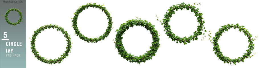 Set of Fresh Green Ivy Circles, Perfect for Framing Designs isolated on white or transparent png background