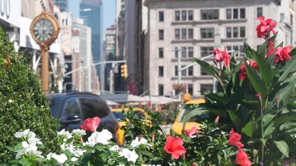 New York City, United States, Manhattan Midtown Broadway, 23 street, 5 avenue crossroad intersection. Worth Square near Madison Park and Flatiron Building, USA. Yellow taxi cab, street clock, flowers.