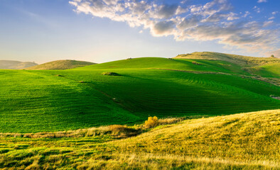 countryside green field during sunrise of sunset in warm light. beautiful spring landscape in the mountains. grassy field and hills. rural scenery