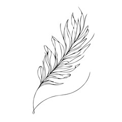 Minimalist line art of a leaf illustration on white background  