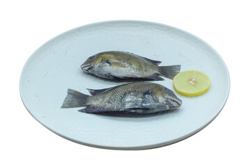 freshly Caught Tilapia Duo with a Vibrant Lemon Slice Resting on a Pristine White Plate. Perfect...