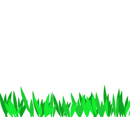 green grass isolated on white ilustration