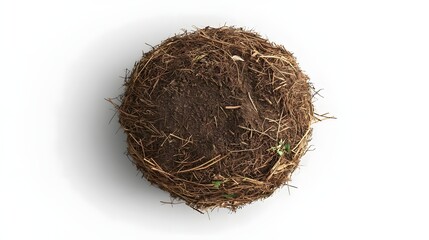 Obraz premium Natural Soil Composition with Organic Material and Fresh Sprouts Isolated on White Background