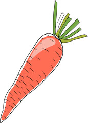 Vector doodle drawing of orange colored carrot isolated on white background