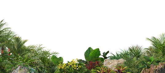 3D Rendering of Lush Tropical Greenery with Transparent Background © jomphon