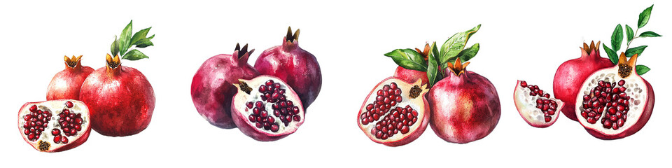 Watercolor Painting of Pomegranates Whole and Cut Open  Seeds isolated with Transparent PNG