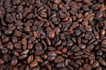 Close-up of roasted Arabica coffee beans