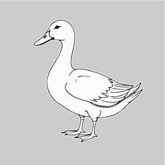 Minimalist Duck Vector Design