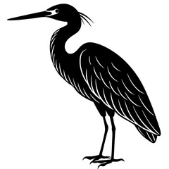 Obraz premium Snowy Egret Bird silhouette vector
