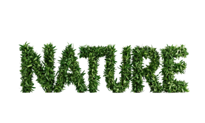 3D word "NATURE" made of lush green grass, ultra-realistic herb texture, bold uppercase letters, fresh summer vibes, highly detailed, 3D render, isolated on white background