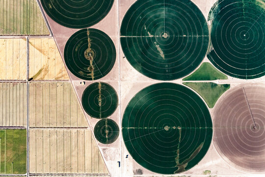 Aerial view of irrigation circles in the USA
