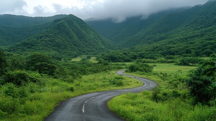 Winding asphalt road cutting through a luxuriant green valley landscape