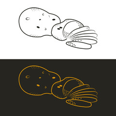 vector illustration of a fish