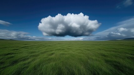 Obraz premium Vast grassy plain under a large cumulus cloud