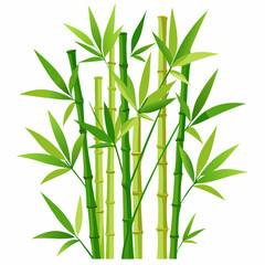 lush bamboo stalks with delicate green leaves