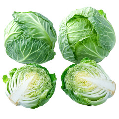 Fototapeta premium green cabbage heads and halves - fresh vegetable