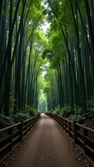 Chinese Bamboo Forest Paths lined with tall, slender green bamboo create serene atmosphere. Concept of tranquility in Chinese Bamboo Forest Paths landscape captures nature's beauty.