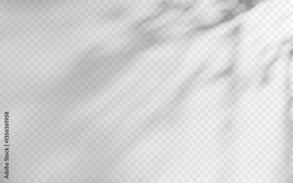 Sticker abstract shadow overlay from foliage on a transparent background.