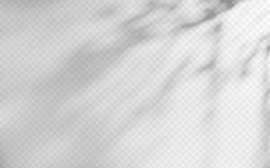 Obraz premium Abstract shadow overlay from foliage on a transparent background.