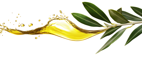 Olive oil splash with droplets and an olive branch with green leaves on trasparent background