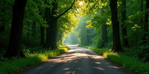 Obraz premium Serene Forest Road at Dawn Sunlight Illuminates a Scenic Asphalt Path Through Lush Green Trees and Vibrant Undergrowth