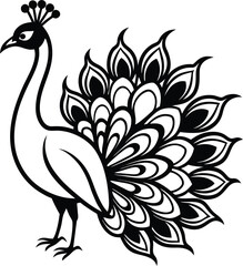 Fototapeta premium Elegant Peacock Illustrations Silhouette