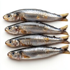 Fototapeta premium Freshly caught silver fish arranged neatly on a white background.