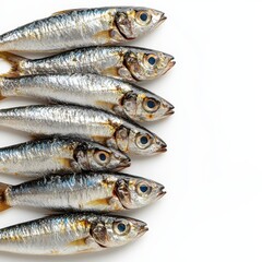 Obraz premium Fresh fish arranged in a row, highlighting their shiny scales and vivid eyes.