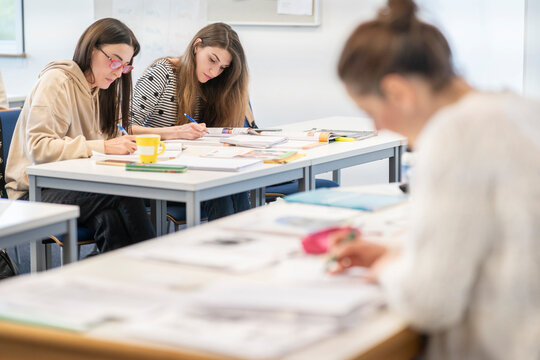 Multicultural female students studying in an international language class