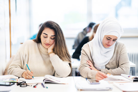 Multicultural female students studying together in an international language class
