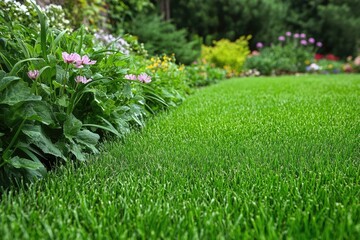 Removing Crabgrass from Lawn for Home Improvement and Lawn Maintenance