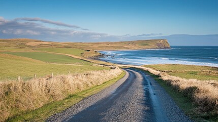 Serene coastal road winding through lush green hills