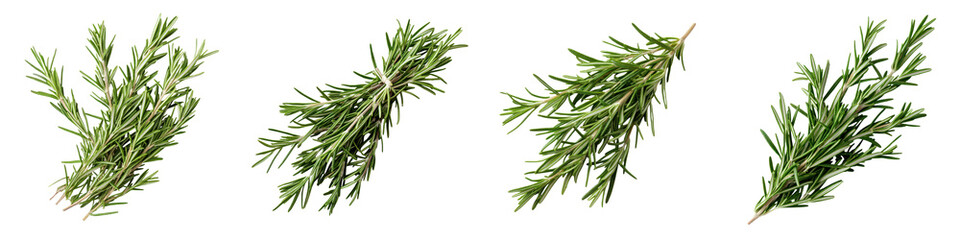 Naklejka premium Closeup of several green sprigs of freshly harvested rosemary a fragrant and flavorful Mediterranean herb commonly used in cooking and natural remedies
