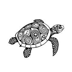 A vibrant green sea turtle swims gracefully through a blue tropical reef