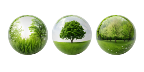 Three Different Style Small Green Globe with Trees on White - Green Globe, Environmental Icon, Earth Globe, Cut Out