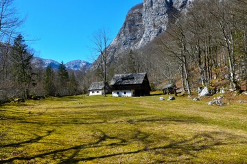 Meadow with houses in traditional architecture in Bohinj, Julian alps, Gorenjska, Slovenia