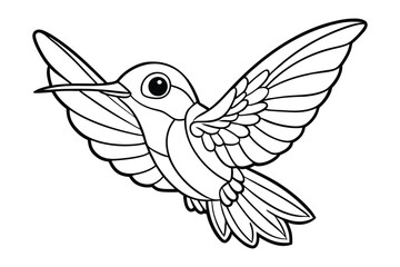 Hummingbird coloring page for kids 