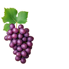 Fototapeta premium Fresh Purple Grapes with Leaf isolated on white or transparent background, png clipart, design element